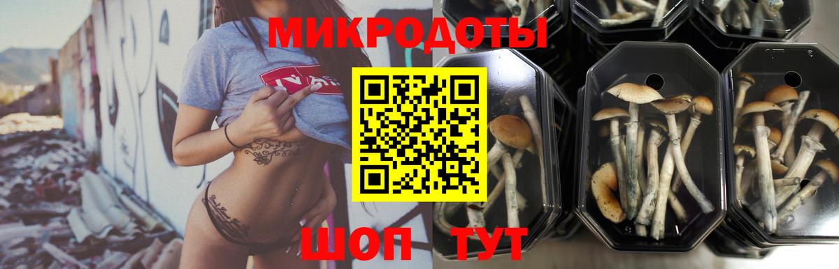 Избербаш  Галлюциногенные грибы MAGIC MUSHROOMS  Вход с VPN 